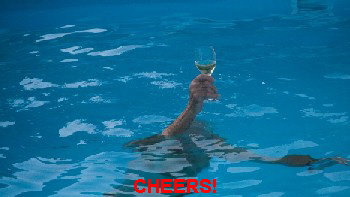 CHEERS!